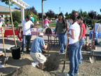 TreePlanting005